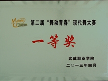 ”舞動青春“現(xiàn)代舞大賽一等獎(jiǎng)